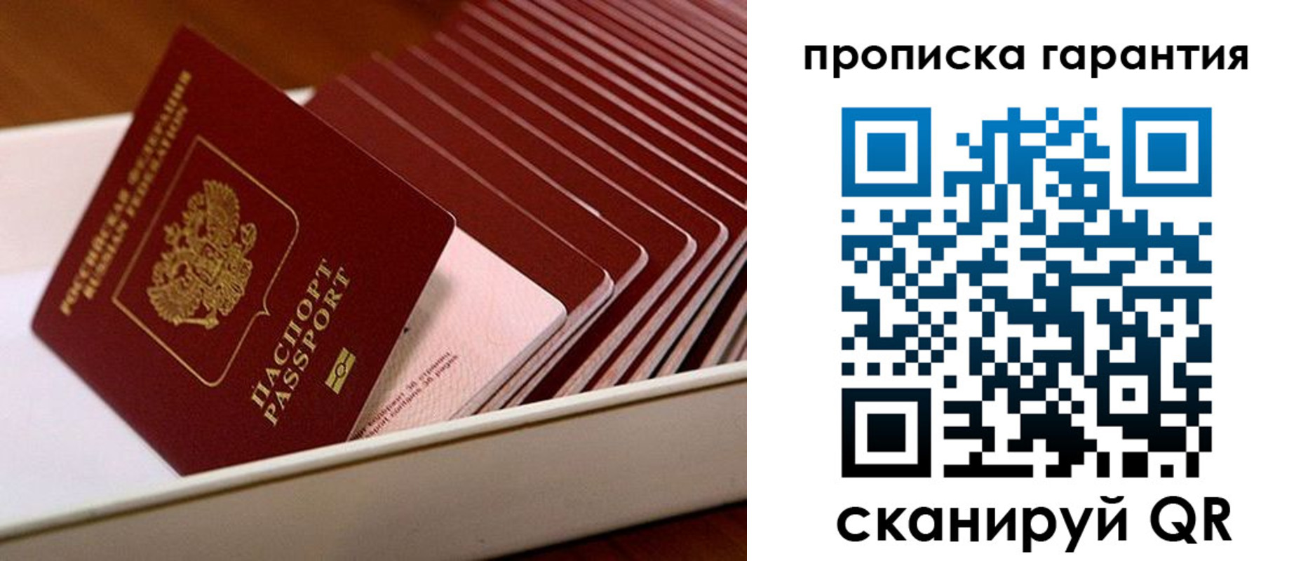 прописка поиск в Чувашии